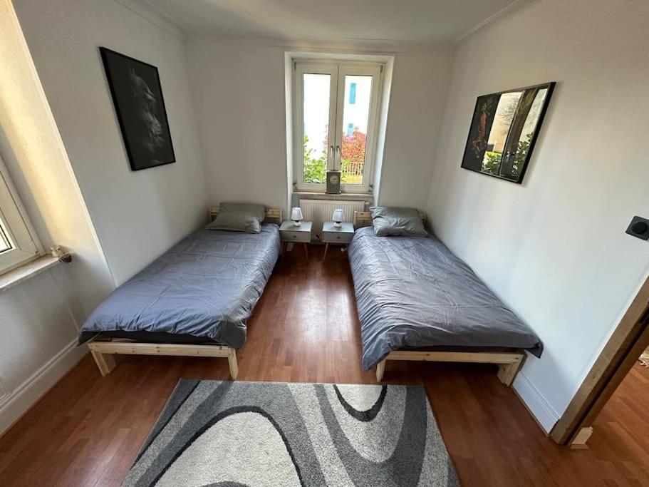 Magnifique Appartement F3. 4 A 6 Personnes Lutterbach Buitenkant foto