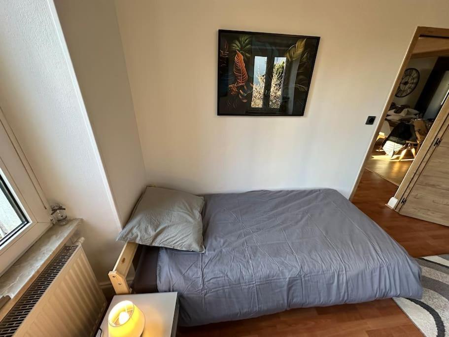 Magnifique Appartement F3. 4 A 6 Personnes Lutterbach Buitenkant foto